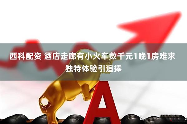 西科配资 酒店走廊有小火车数千元1晚1房难求 独特体验引追捧